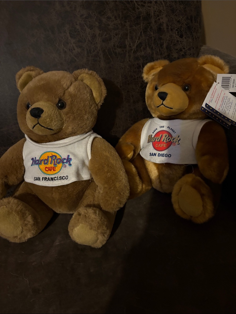 Hard Rock Cafe Brown Teddy Bear with White Logo Bib